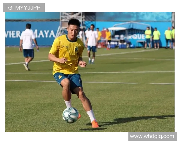 数据模型解析武磊未来胜率预测及其影响因素分析